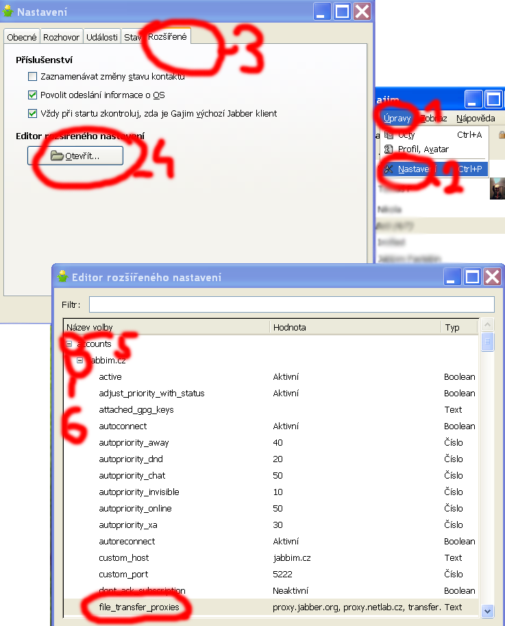 File transfer proxies gajim.png